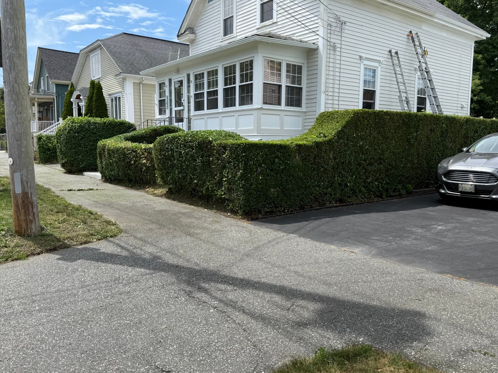 A LawnCheck crew member trimming a long hedge line clean and square