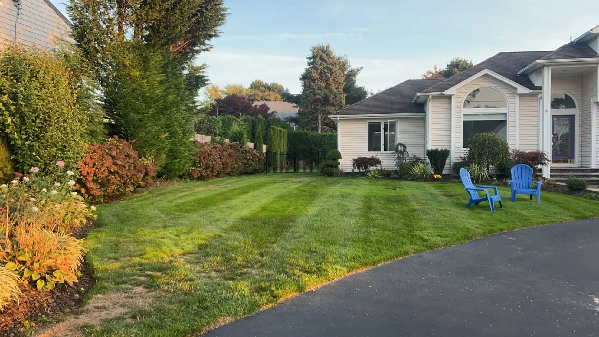 GreenCare for commercial properties