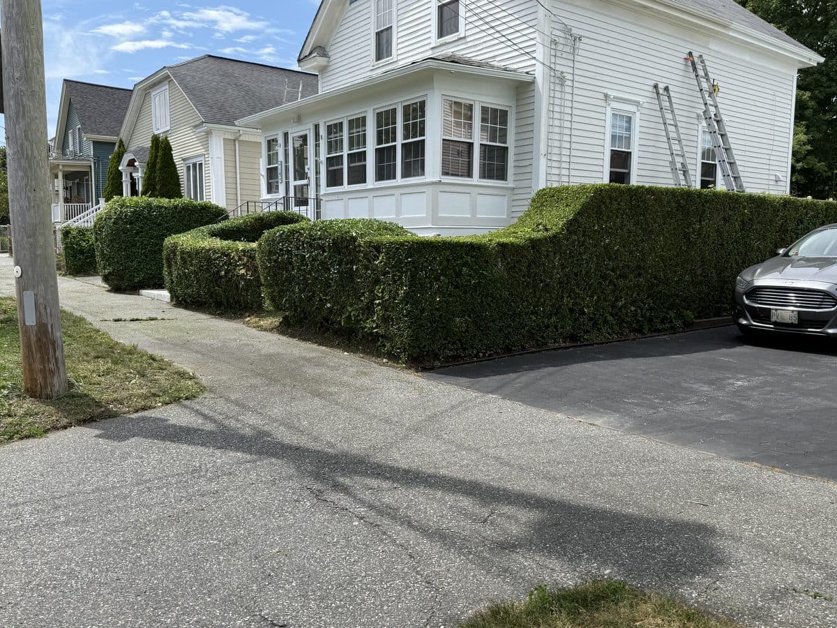 A neatly shaped, freshly trimmed hedge along a property