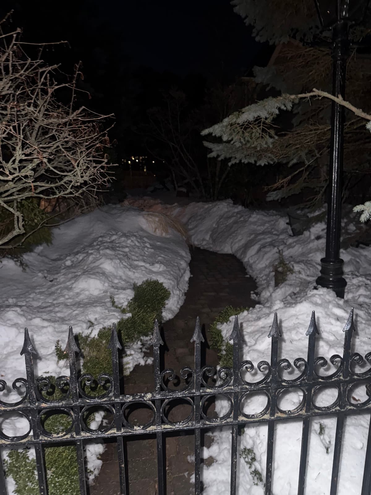 A walkway shoveled clear between deep snowbanks, the finished work a storm report shows