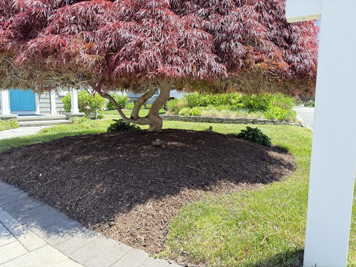 Fresh mulch spread across wide, clean-edged landscape beds