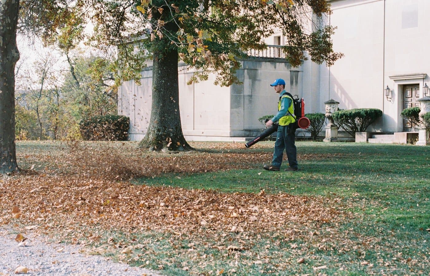 Seasonal yard cleanup clearing fallen leaves
