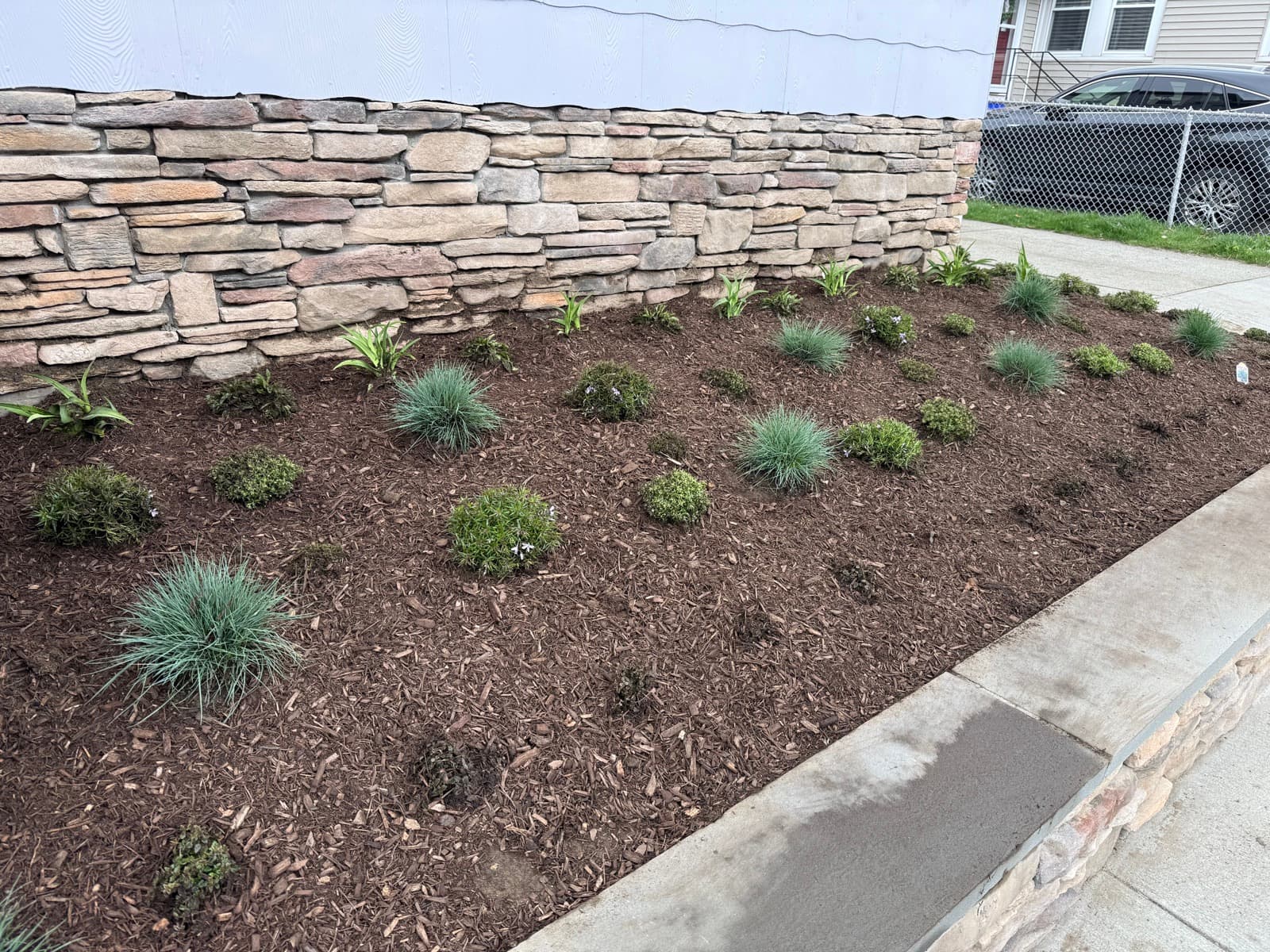 A new stone wall with a planted bed along its top