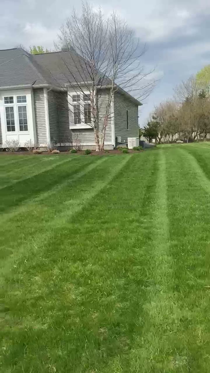A crisply striped green lawn at an East Bay home