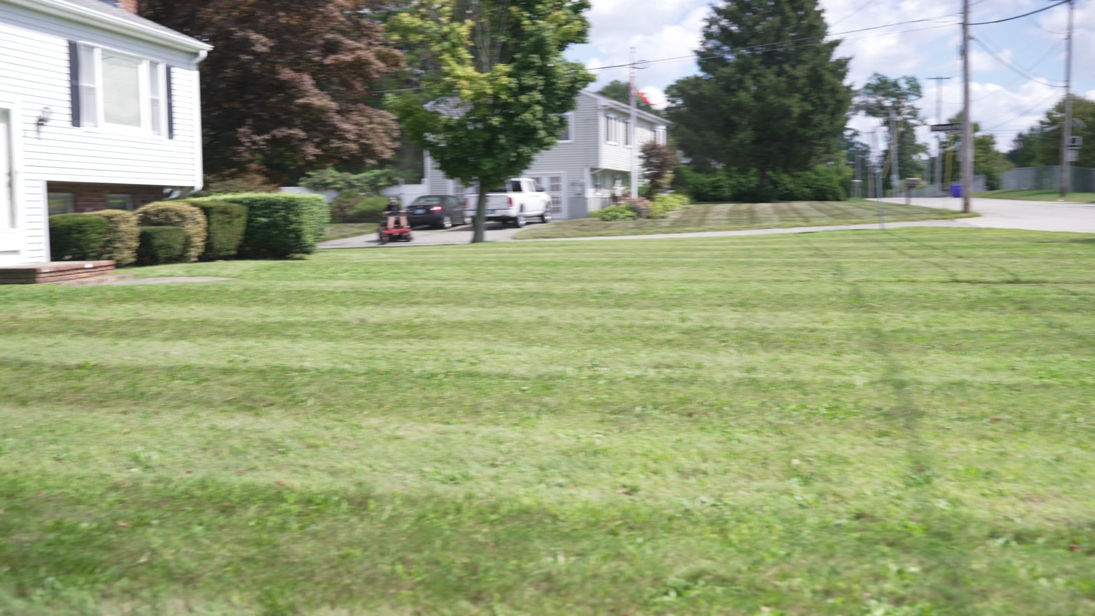 A striped lawn along the street after the weekly cut