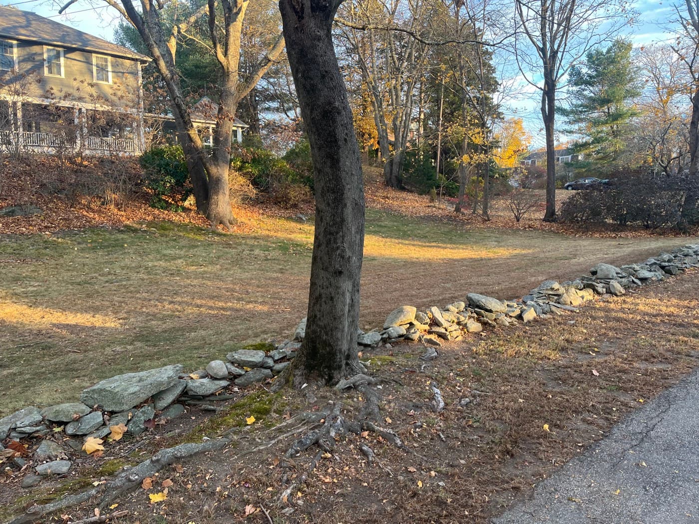 A lawn cleared of leaves beside a stone wall in autumn light