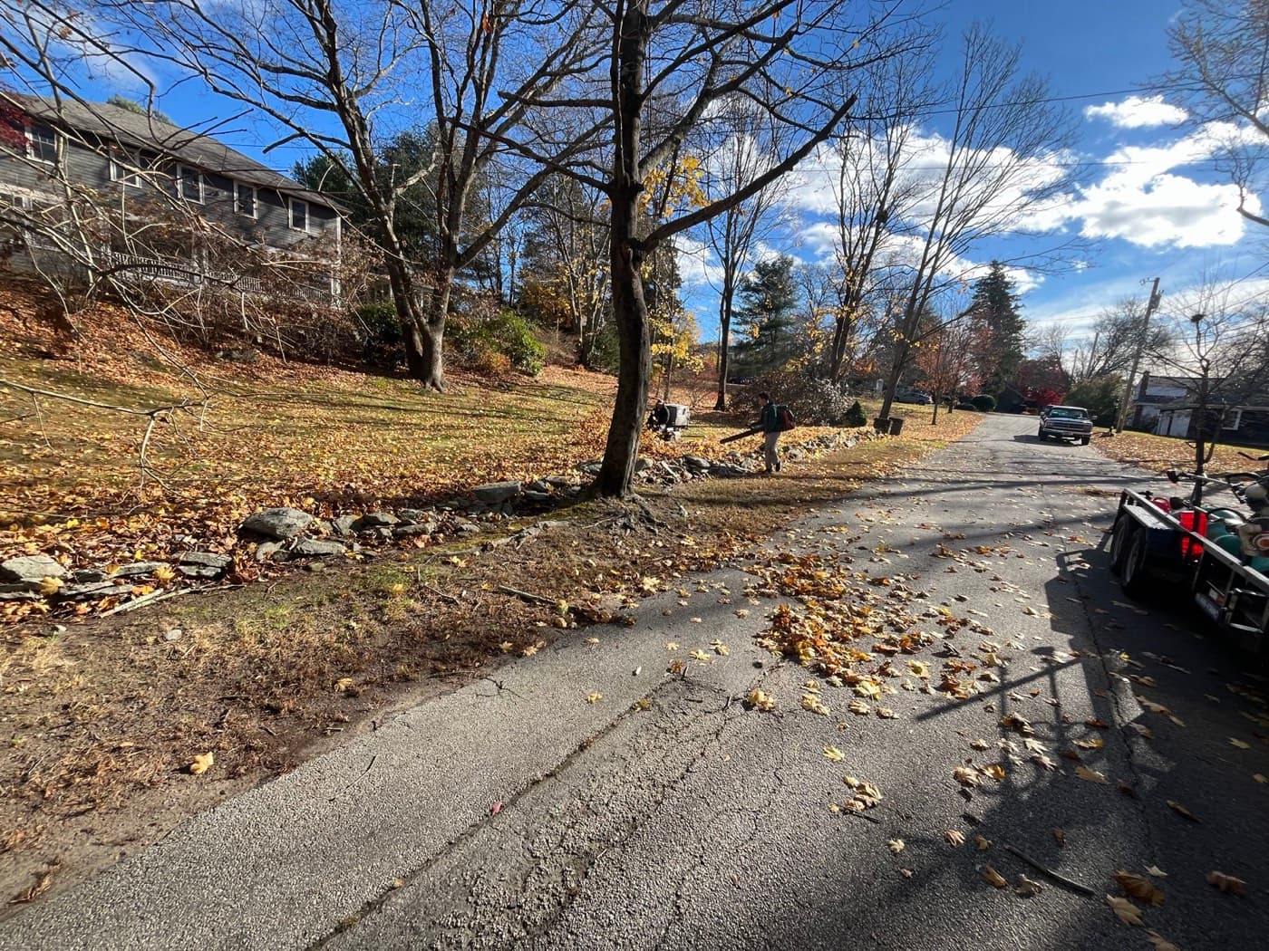 Piles of leaves and branches lined up along the street for pickup