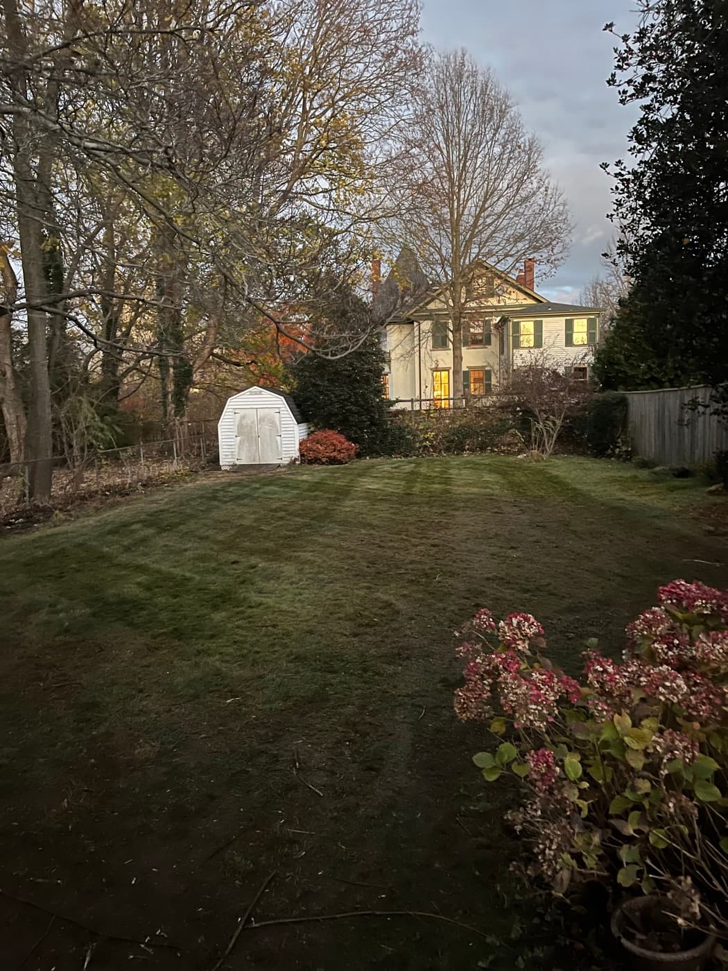 A back yard cleared of leaves