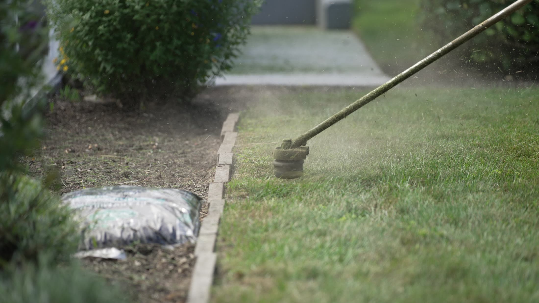 A trimmer cutting the lawn edge along a bed